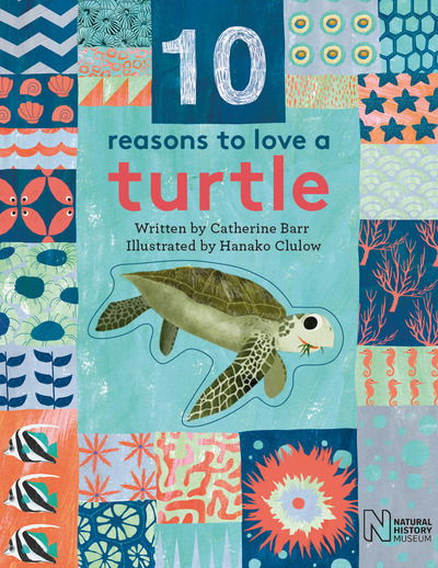 Cover for Catherine Barr · 10 Reasons to Love a... Turtle - 10 reasons to love a... (Hardcover Book) (2017)