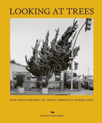 Cover for Sophie Howarth · Looking At Trees: New Photography of Trees, Forests &amp; Woodlands (Gebundenes Buch) (2023)