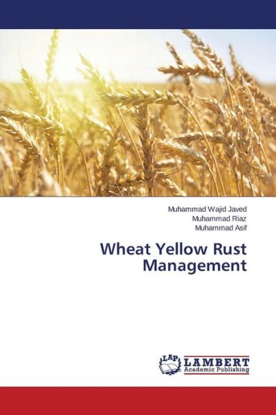 Cover for Muhammad Asif · Wheat Yellow Rust Management (Paperback Book) (2014)