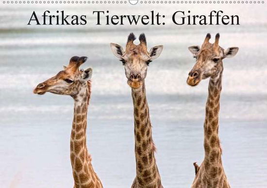 Cover for Voß · Afrikas Tierwelt: Giraffen (Wandkal (Buch)