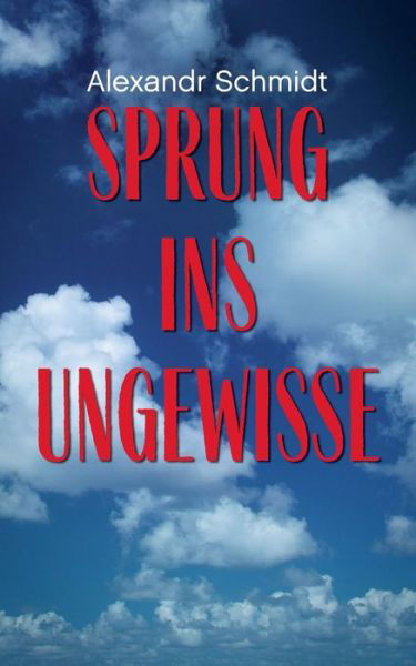 Cover for Schmidt · Sprung ins Ungewisse (Book) (2019)