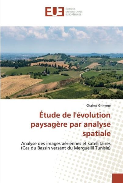 Cover for Grimene · Étude de l'évolution paysagère (Bok) (2019)