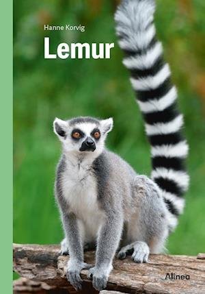 Cover for Hanne Korvig · Fagklub: Lemur, Grøn Fagklub (Indbundet Bog) [1. udgave] (2023)