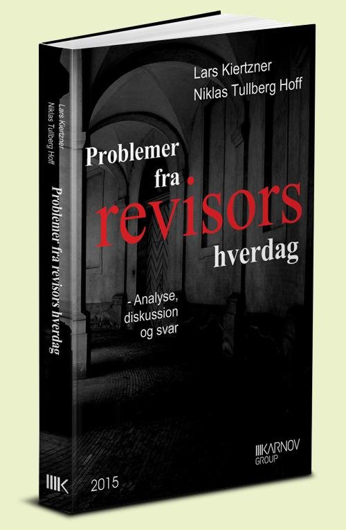 Cover for Lars Kiertzner og Niklas Tullberg Hoff · Problemer fra revisors hverdag (Taschenbuch) [1. Ausgabe] (2015)