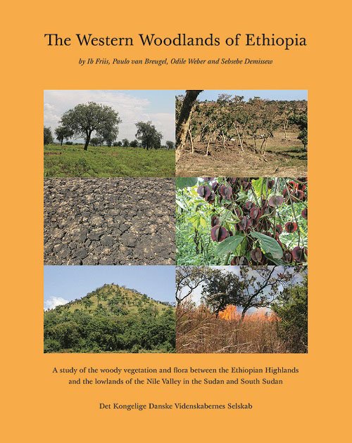 Cover for Ib Friis, Paulo van Breugel, Odile Weber og Sebsebe Demissew · The Western Woodlands of Ethiopia (Bound Book) [1. Painos] (2022)