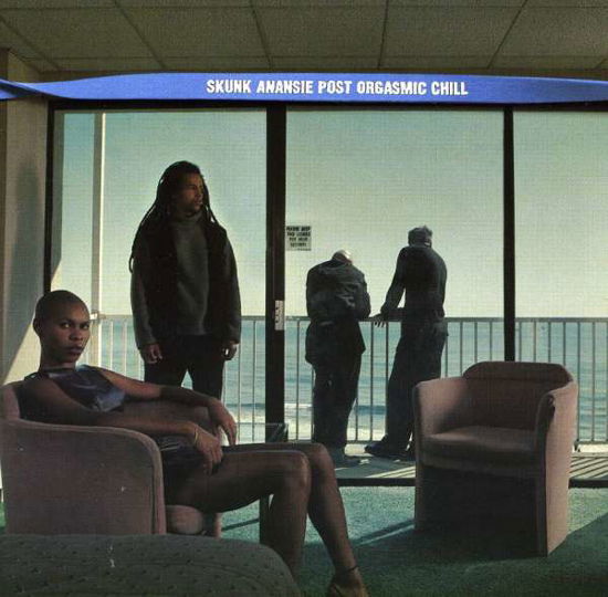 Cover for Skunk Anansie · Post Orgasmic Chill (CD) [Enhanced edition] (1999)