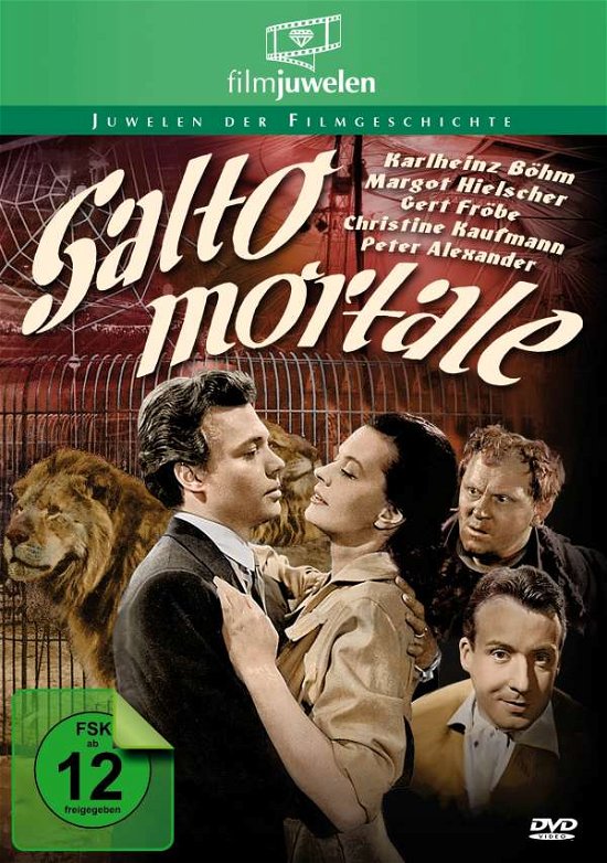 Cover for Viktor Tourjansky · Salto Mortale (Filmjuwelen) (DVD) (2016)