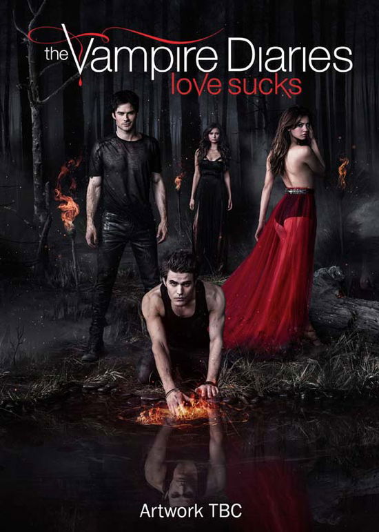 Cover for Vampire Diaries S5 Dvds · Vampire Diaries  Complete Season 5 (DVD) (2014)