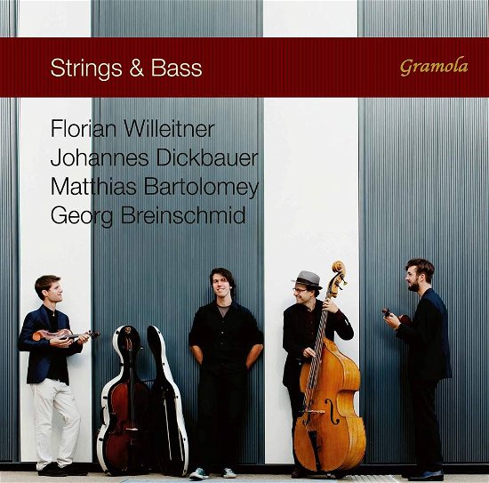 Cover for Breinschmid / Willeitner / Bartolomey · Strings &amp; Bass (CD) (2017)