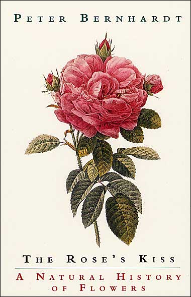 Cover for Peter Bernhardt · The Rose's Kiss: A Natural History of Flowers (Paperback Book) (2002)