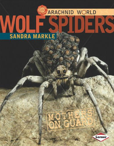 Cover for Sandra Markle · Wolf Spiders: Mothers on Guard (Arachnid World) (Hardcover Book) (2011)