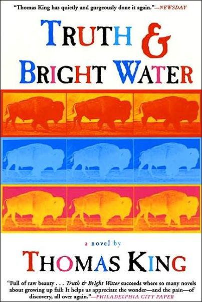 Truth and Bright Water - Thomas King - Książki - Grove Press / Atlantic Monthly Press - 9780802138408 - 12 września 2001