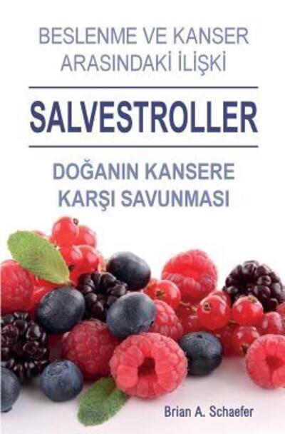 Cover for Brian A Schaefer · Salvestroller (Paperback Book) [Turkish edition] (2017)