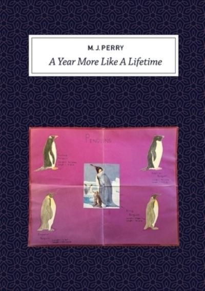 Cover for Michael Perry · A Year More Like a Lifetime (Pocketbok) (2021)