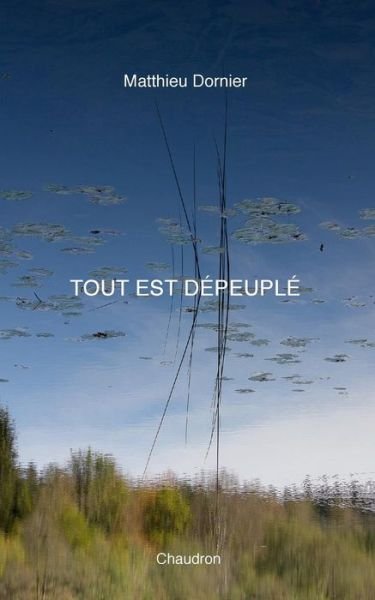 Cover for Matthieu Dornier · Tout est depeuple (Paperback Book) (2024)