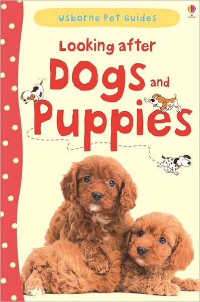 Cover for Katherine Starke · Looking after Dogs and Puppies - Pet Guides (Hardcover Book) (2013)