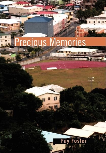 Precious Memories - Fay Foster - Livres - Xlibris Corporation - 9781456880408 - 12 mai 2011