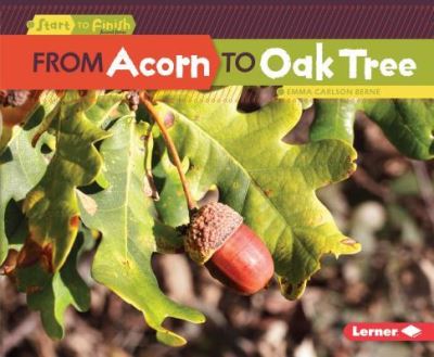 Cover for Emma Carlson Berne · From Acorn to Oak Tree (Hardcover Book) (2017)