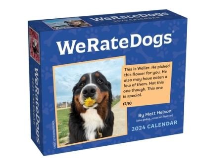 WeRateDogs 2024 Day-to-Day Calendar - Matt Nelson - Merchandise - Andrews McMeel Publishing - 9781524880408 - 1. august 2023