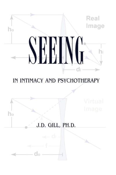 Cover for J D Gill · Seeing in Intimacy and Psychotherapy (Paperback Book) (2016)