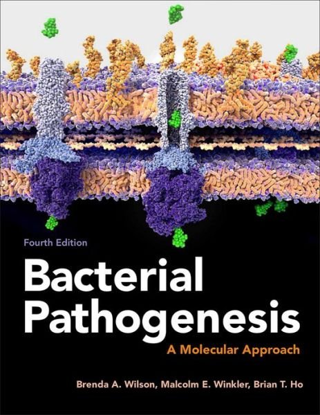 Cover for Wilson, Brenda A. (University of Illinois at Urbana-Champaign, Urbana-Champaign, IL) · Bacterial Pathogenesis: A Molecular Approach - ASM Books (Paperback Book) (2019)