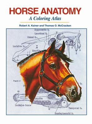 Cover for Robert A Kainer · Horse Anatomy (Spiral Book) (1998)