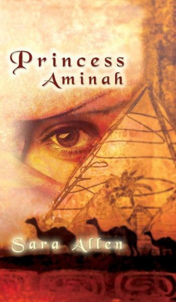Cover for Sarah Allen · Princess Aminah (Paperback Book) (2017)