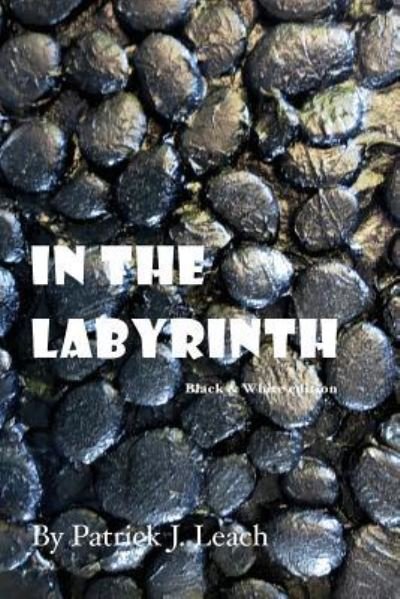 Cover for Patrick J Leach · In the Labyrinth (Taschenbuch) [B&amp;w edition] (2017)