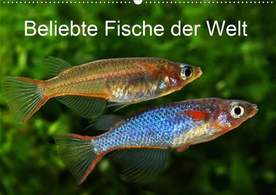 Beliebte Fische der Welt (Wand - Pohlmann - Livros -  - 9783671887408 - 