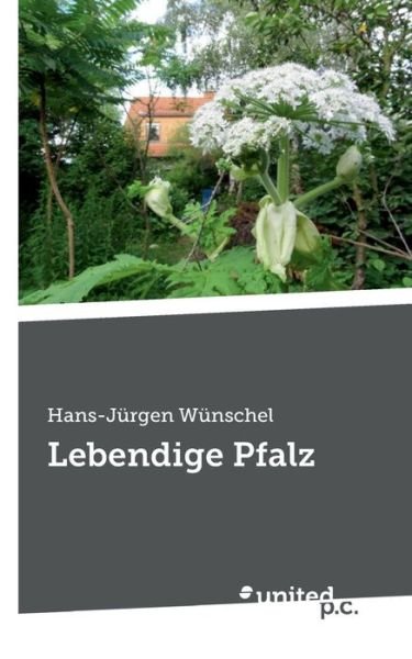 Cover for Hans-Jurgen Wunschel · Lebendige Pfalz (Taschenbuch) (2020)