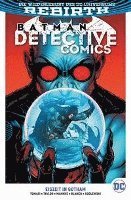 Batman - Detective Comics - Peter J. Tomasi - Boeken - Panini Verlags GmbH - 9783741627408 - 1 mei 2022
