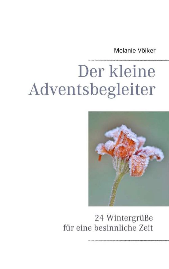 Cover for Völker · Der kleine Adventsbegleiter (Bog)