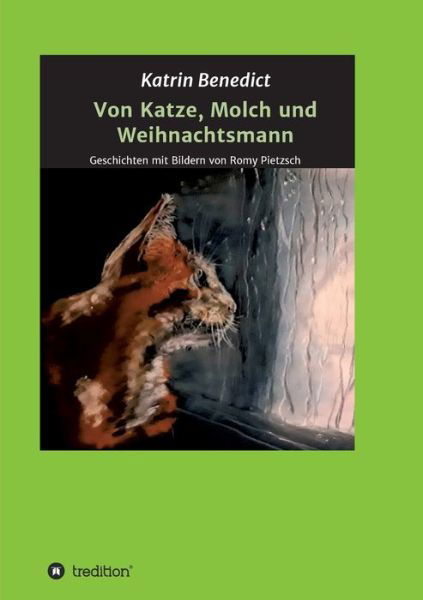 Cover for Benedict · Von Katze, Molch und Weihnacht (Bog) (2020)