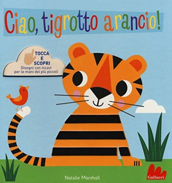 Cover for Natalie Marshall · Ciao, Tigrotto Arancio! Tocca E Scopri. Ediz. A Colori (Book) (2019)