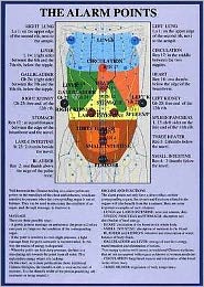 Cover for Jan van Baarle · Alarm Points / Emergency Points -- A4 (Plakat) (2003)