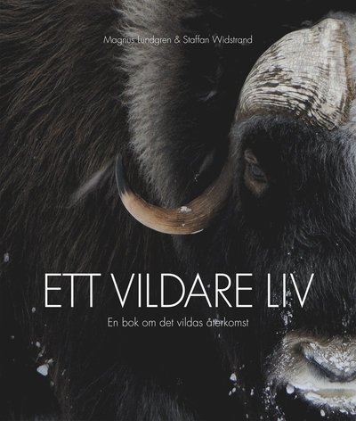 Cover for Magnus Lundgren · Ett vildare liv : en bok om det vildas återkomst (Inbunden Bok) (2017)