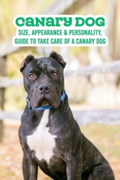 Cover for Antillon Gloria · Canary Dog: Size, Appearance &amp; Personality, Guide To Take Care of A Canary Dog: Canary Dog Breeds Book (Paperback Book) (2021)