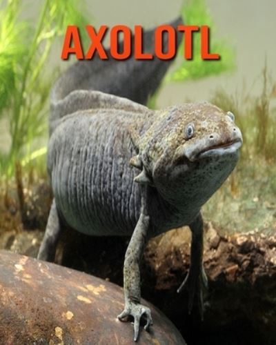 Axolotl - William Doyle - Books - Independently Published - 9798693764408 - October 4, 2020