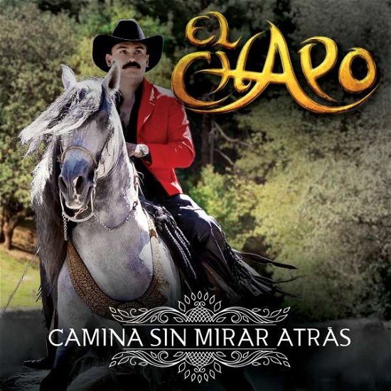 Cover for Chapo De Sinaloa · Camina Sin Mirar Atras (CD) (2015)