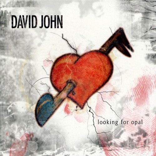 Looking for Opal - David John - Muzyka - David John - 0884501137409 - 2 czerwca 2009