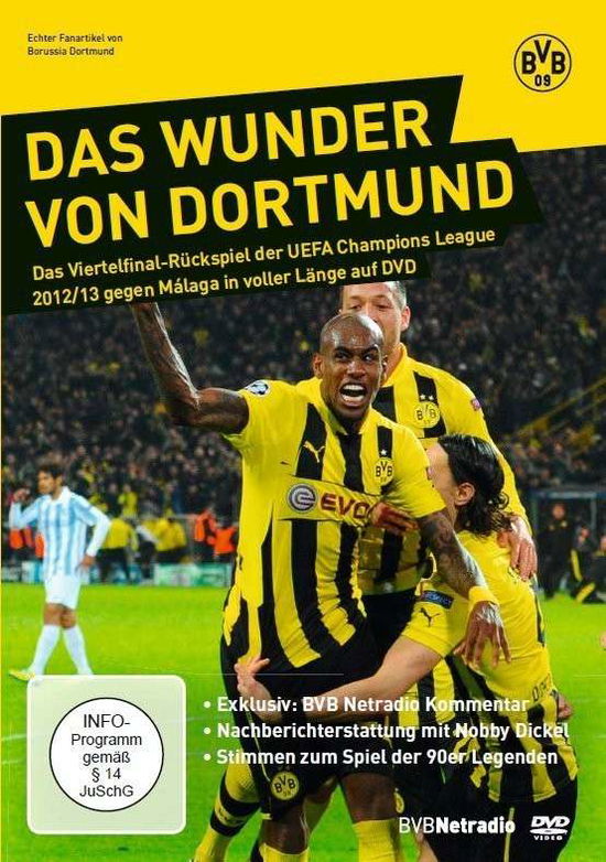 Cover for Borussia Dortmund Bvb · Das Wunder Von Dortmund (DVD) (2013)