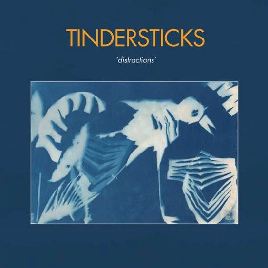 Cover for Tindersticks · Distractions (CD) (2021)