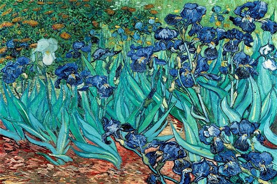 Cover for Van Gogh: Les Irises (maxi Poster) (Legetøj)