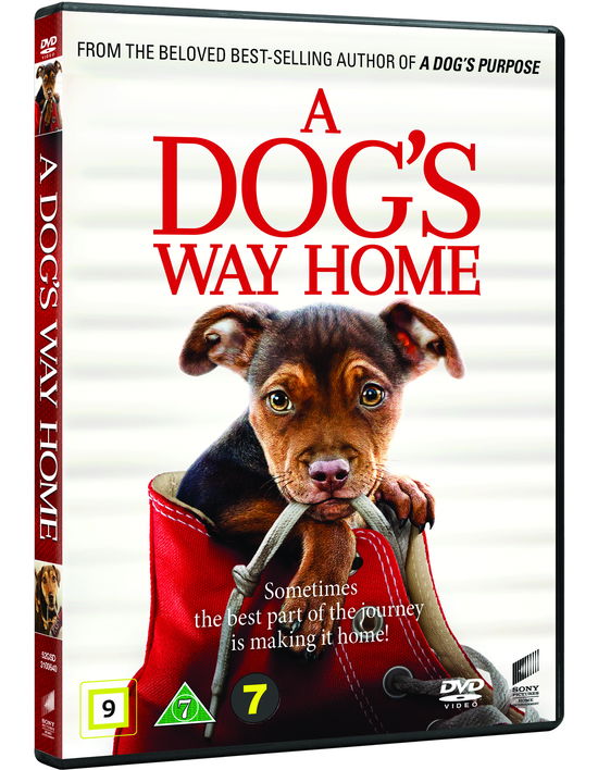 A Dog's Way Home -  - Filmes -  - 7330031006409 - 30 de maio de 2019