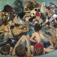 Cover for Panda Bear · Person Pitch (CD) (2012)