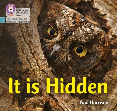 Cover for Paul Harrison · It is Hidden: Phase 3 Set 2 - Big Cat Phonics for Little Wandle Letters and Sounds Revised (Paperback Bog) (2021)