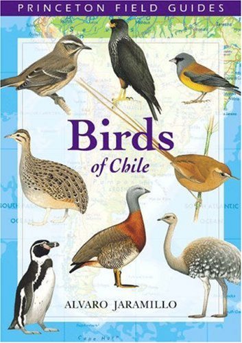Cover for Alvaro Jaramillo · Birds of Chile - Princeton Field Guides (Paperback Book) (2003)