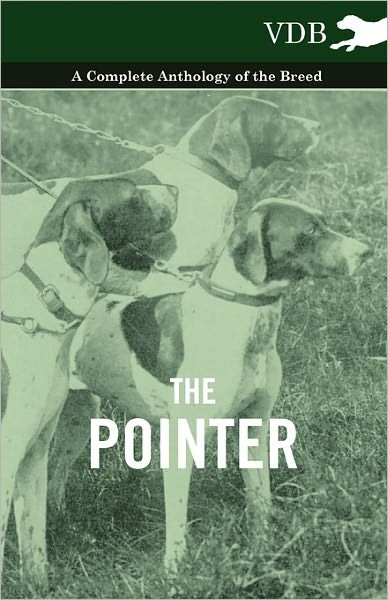 Cover for The Pointer - a Complete Anthology of the Breed (Pocketbok) (2010)