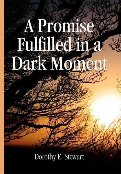 Cover for Dorothy E. Stewart · A Promise Fulfilled in a Dark Moment (Hardcover Book) (2010)