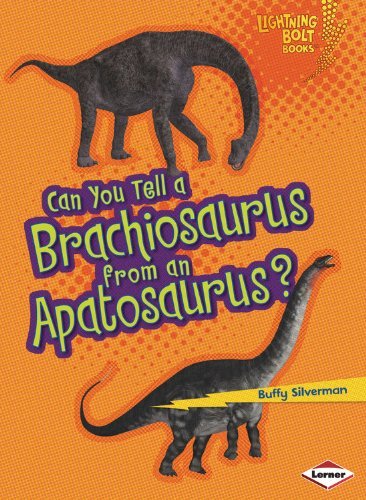 Cover for Robin Nelson · Can You Tell a Brachiosaurus from an Apatosaurus - Lightning Bolt Books Dinosaur Look Alikes (Paperback Book) (2013)